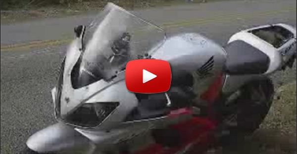 Animal Atropelado por CBR600